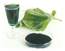 Haining Fengming Chlorophyll Co., Ltd.